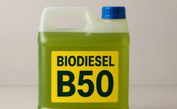 B50-sawit