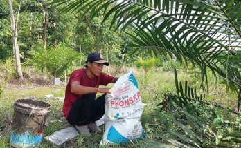 manfaat-pupuk