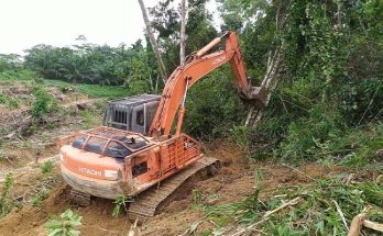 land-clearing
