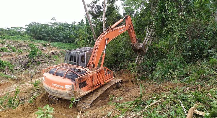 land-clearing