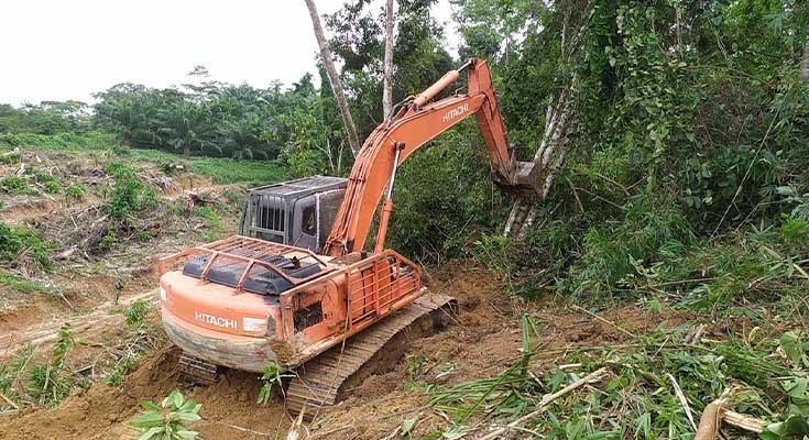 land-clearing