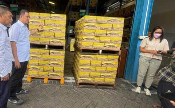 pengawasan-minyakita