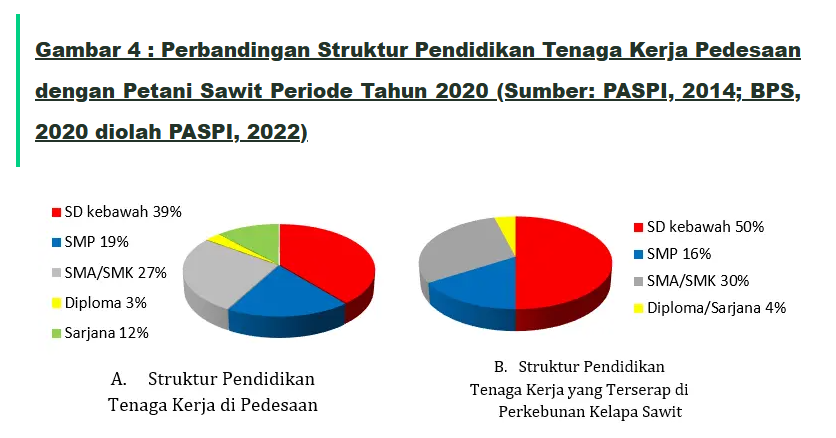 fakta dan mitos kelapa sawit