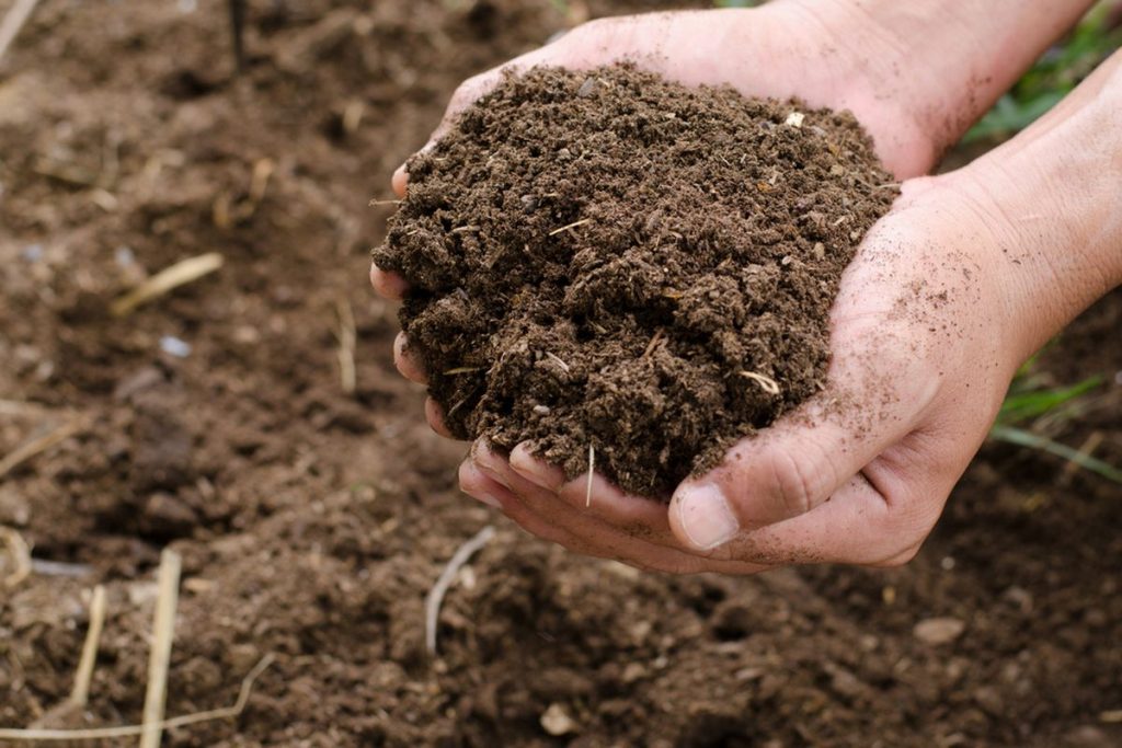 manfaat pupuk organik