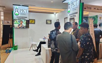 pengendalian-ganoderma